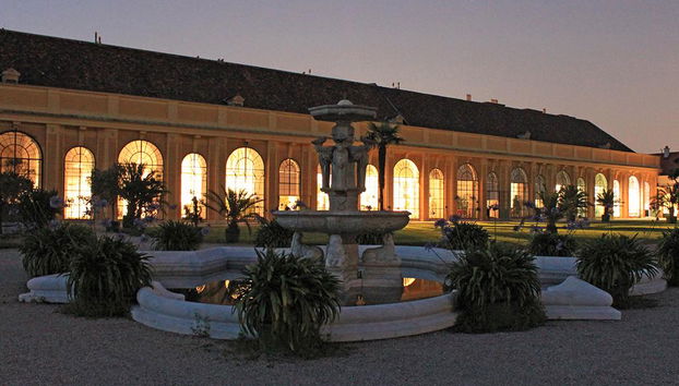 Cena y concierto en el Palacio de Schönbrunn - Foto 5
