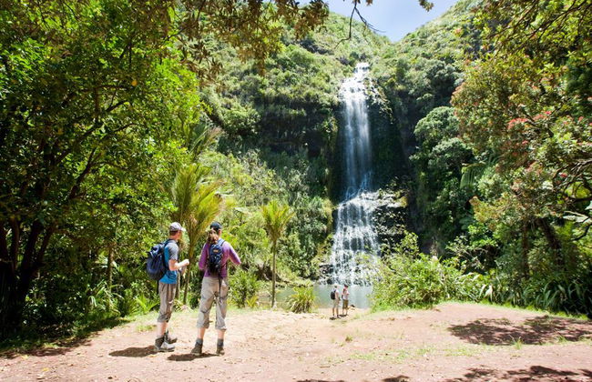 Costa Oeste de Auckland - Privado - Foto 3