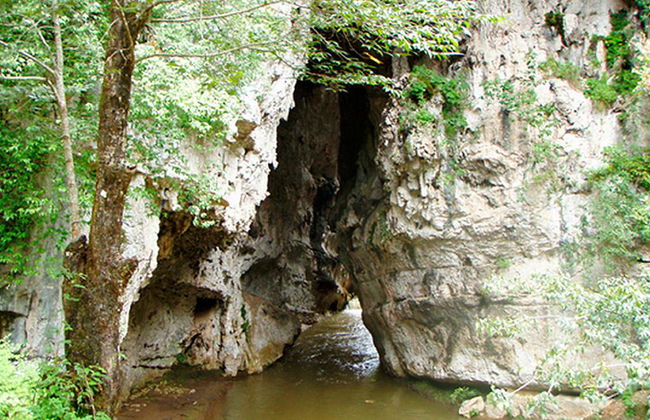 Centre Écotouristique Arcotete - Photo 2