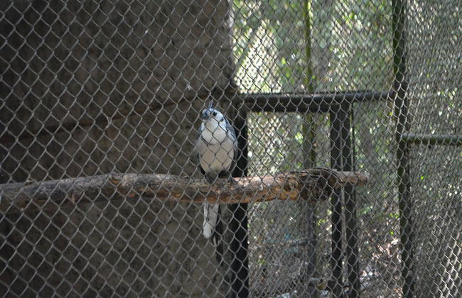 ZooMAT - Photo 5