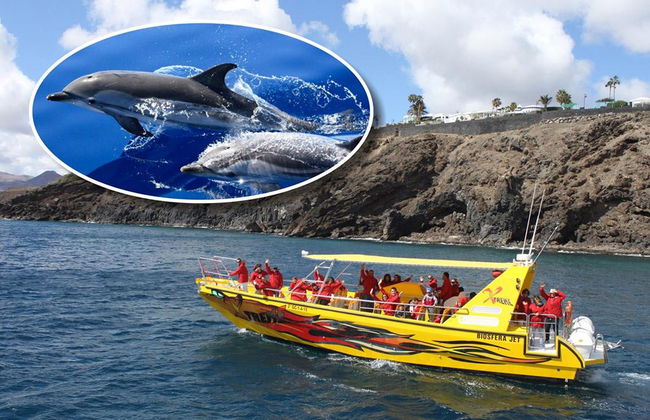 Puesta de sol y avistamiento de delfines - Foto 5