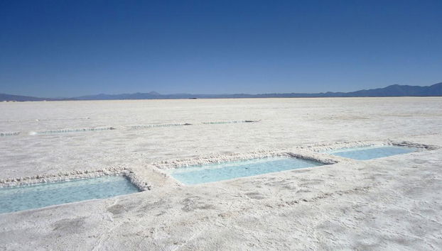 Découvrez les Salines Grandes - Photo 3