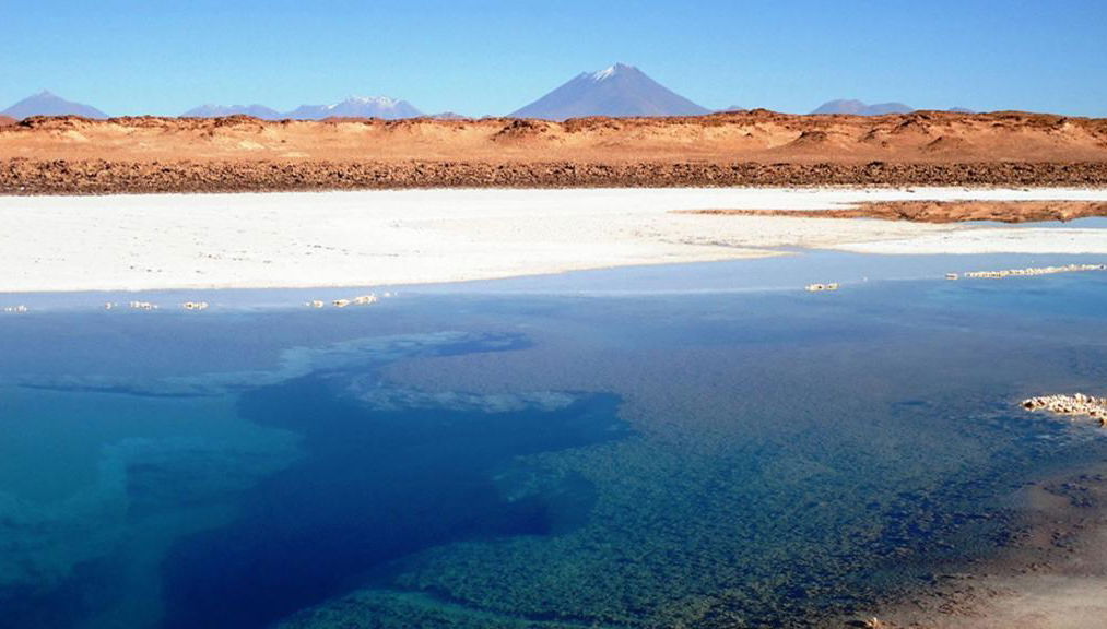 Découvrez les Salines Grandes - Photo 1