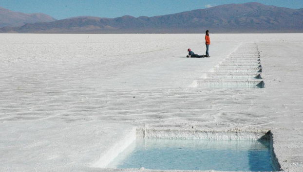 Découvrez les Salines Grandes - Photo 2