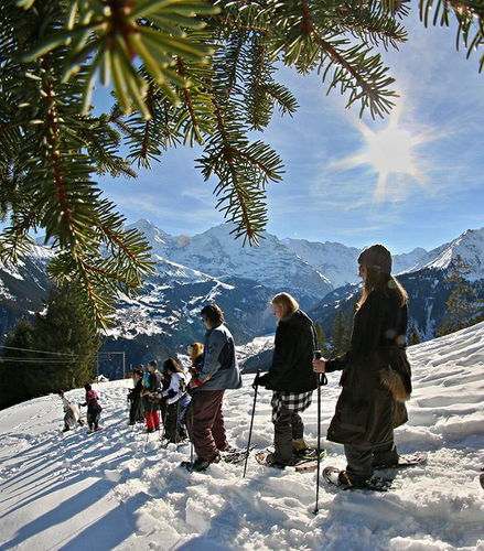 Bild - Schneeschuh Tour
