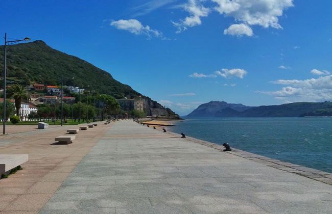 Santoña: Anchovy Factory and Boat Trip - Photo 4