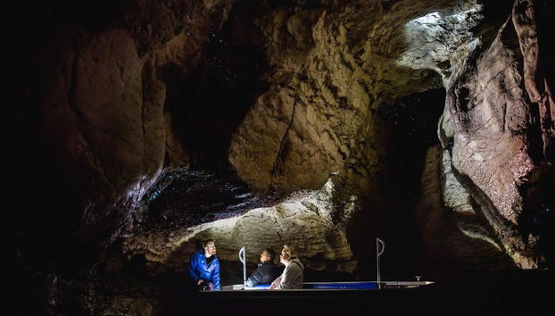 Te Anau Glowworm Caves - Foto 4