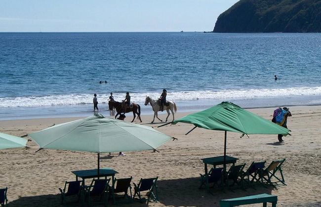 Randonnée équestre sur la plage - Photo 2