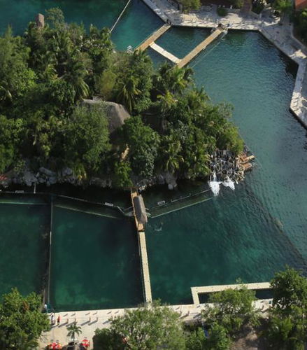 Foto de Nado Royal con delfines en Puerto Aventuras - Programa Royal Swim