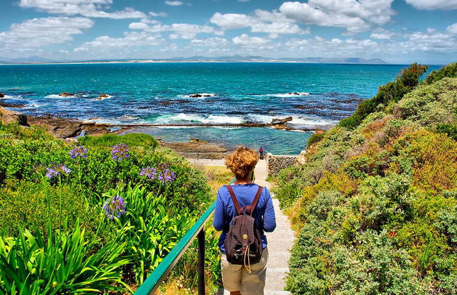 Visite d'Hermanus journée complète - Photo 3
