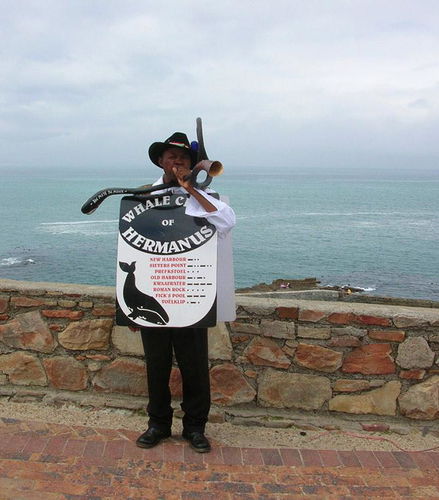 Foto - Tour de Dia Inteiro em Hermanus