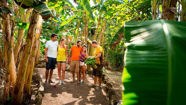Coba Maya Villages - Foto 3