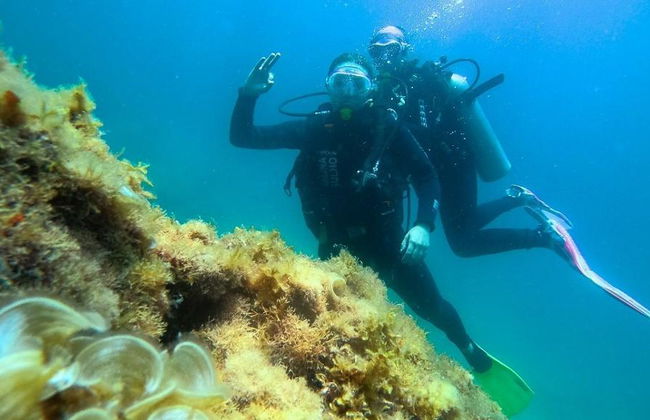 Immersioni subacquee nella baia di Paraty - Foto 4