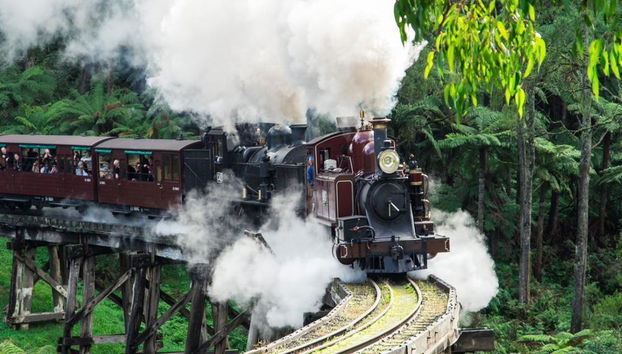 Puffing Billy and Healesville Sanctuary Bus Tour - Foto 5