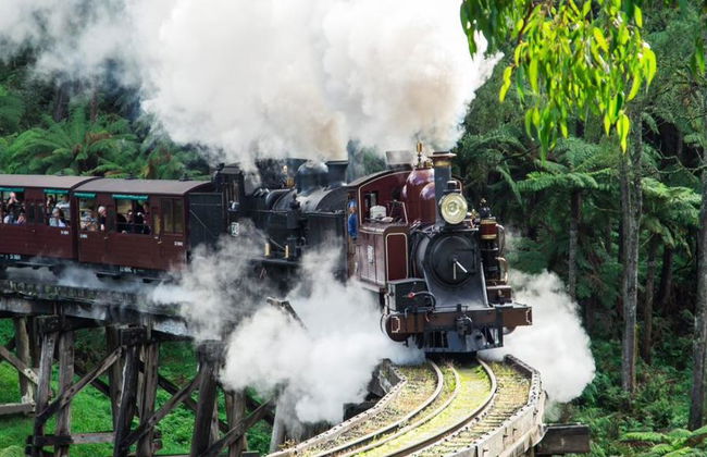 Puffing Billy and Healesville Sanctuary Bus Tour - Foto 5