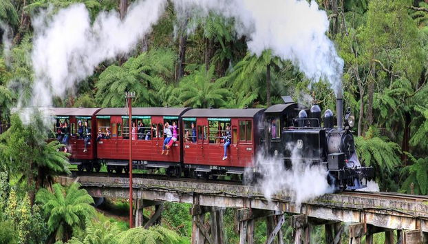 Puffing Billy and Healesville Sanctuary Bus Tour - Foto 3