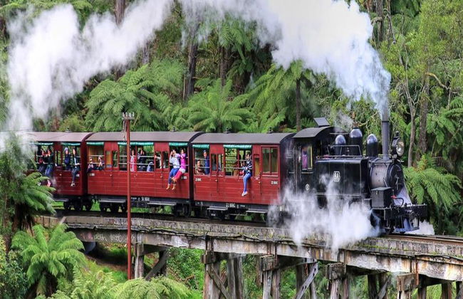 Puffing Billy and Healesville Sanctuary Bus Tour - Foto 3