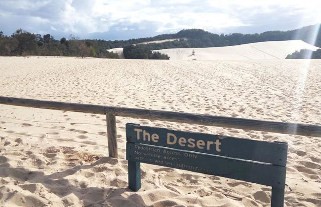 Naufragio en Moreton Island - Tour de un día entero - Foto 4