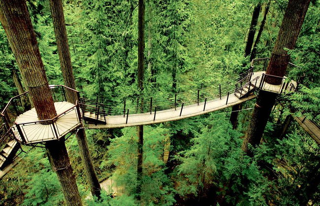 Ciudad de Vancouver y parque del puente colgante de Capilano - Foto 2