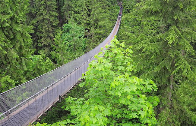 Ciudad de Vancouver y parque del puente colgante de Capilano - Foto 4
