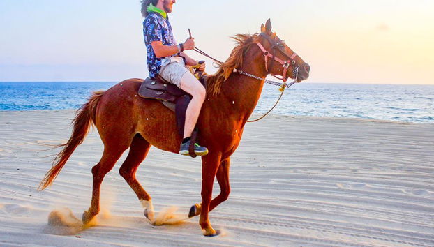 Passeio a cavalo na praia e no deserto - Foto 4