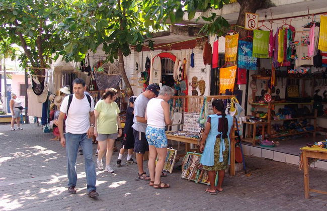Tour tropicale - Photo 3