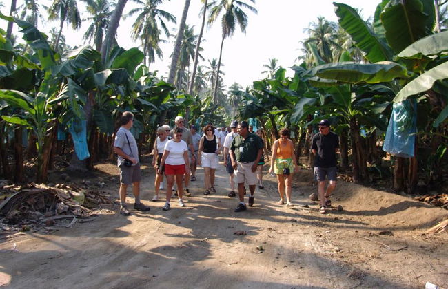 Tour tropicale - Photo 2