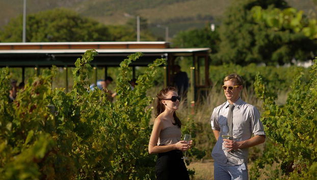 Experiencia en el tranvía del vino de Franschoek y la granja vinícola de Boshendal - Foto 4