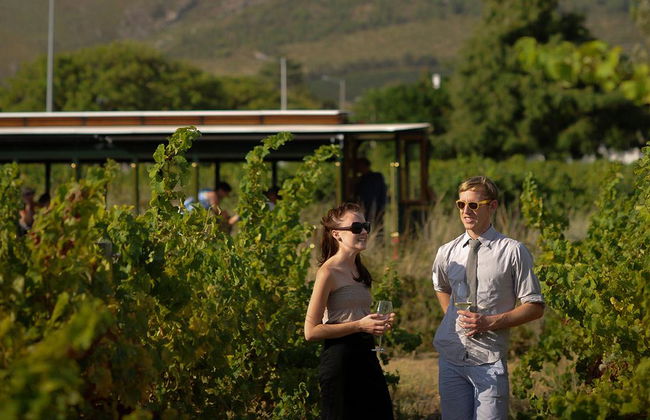 Experiencia en el tranvía del vino de Franschoek y la granja vinícola de Boshendal - Foto 4