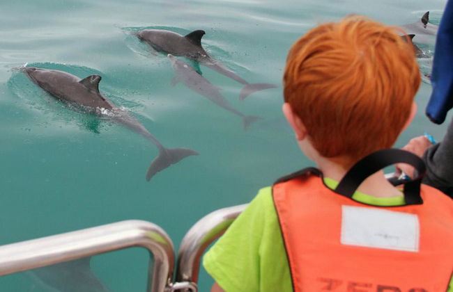 Safari de journée entière : Les cinqs géants de l'océan - Photo 4