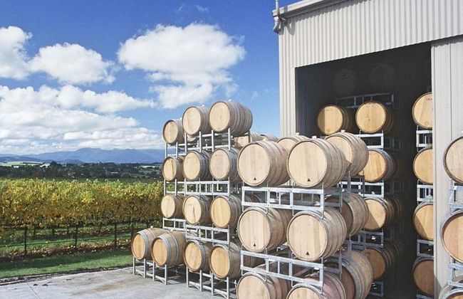 Yarra Valley Winery Tour - Foto 1