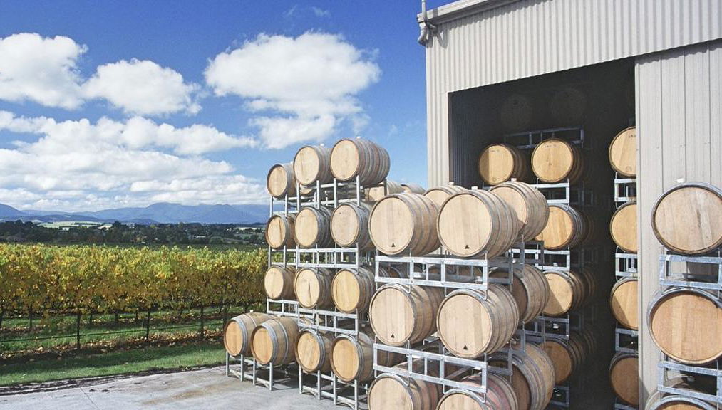 Yarra Valley Winery Tour - Foto 1