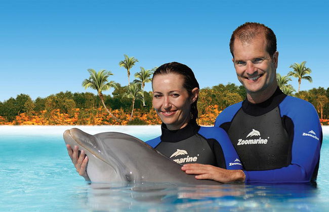 Zoomarine Dolphin Emotions - Interaktion mit Delphinen - Foto 1