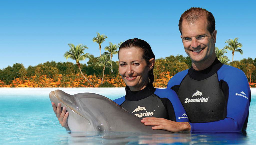 Zoomarine Emotions des dauphins - Expérience interactive - Photo 1