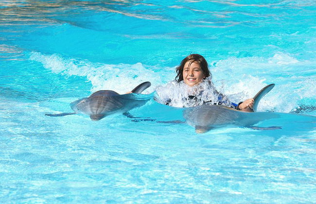Zoomarine Dolphin Emotions - Interaktion mit Delphinen - Foto 3