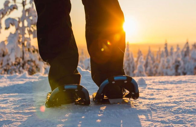 Scenic Levi Snowshoe Trip - From Levi - Photo 4