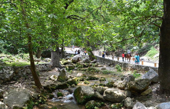 Tour Cola de Caballos - Foto 2