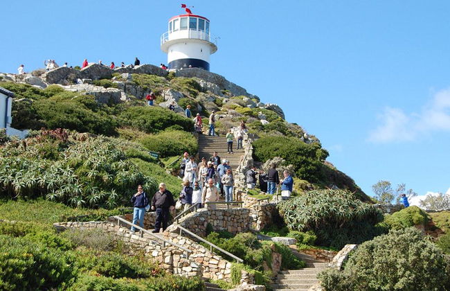Visite de demi-journée à Cape Point - Photo 2