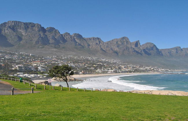 Visite de demi-journée à Cape Point - Photo 4