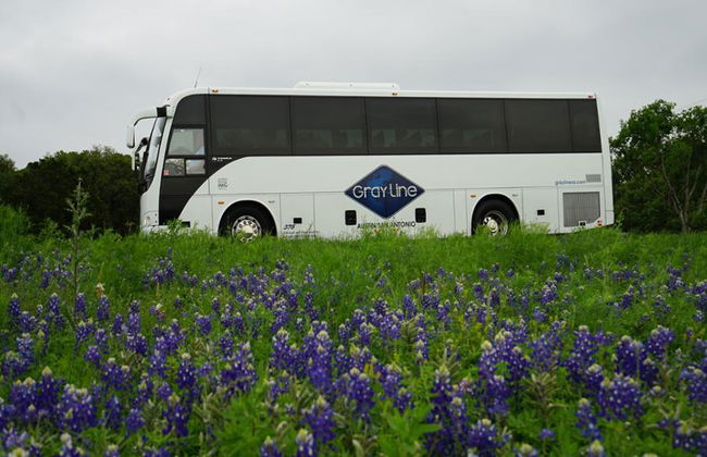 Excursión a Texas Hill Country y LBJ Ranch desde San Antonio - Foto 4