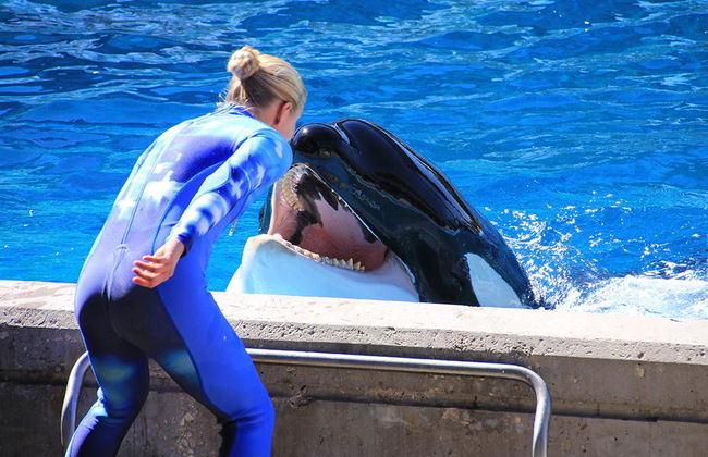 SeaWorld San Antonio - Foto 4