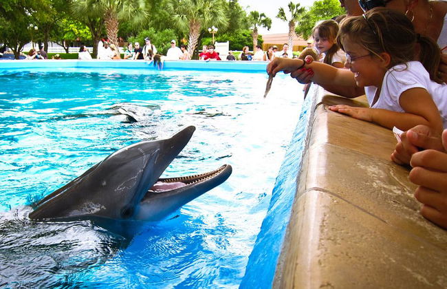 SeaWorld San Antonio - Foto 3