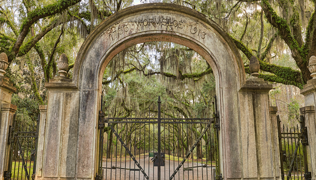 Wormsloe Planatation and Isle of Hope Tour - Photo 3