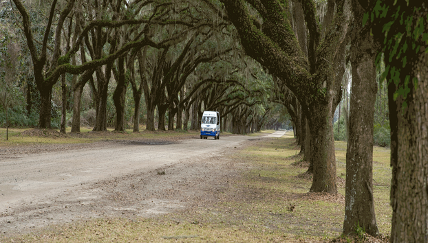 Wormsloe Planatation and Isle of Hope Tour - Photo 4