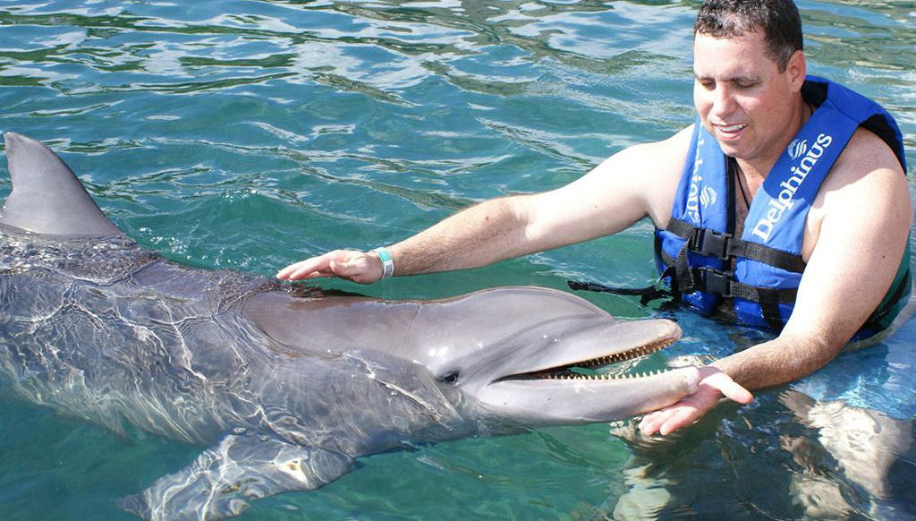 Dolphin Royal Swim, Aquaventuras - Photo 1