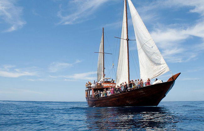 Paseo en barco Shogun - Foto 4