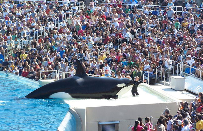 SeaWorld San Diego - Photo 2