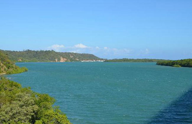 Tour to Gunga Beach - Photo 4