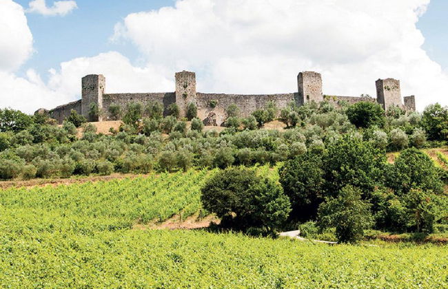 Tour de Chianti y castillos desde San Gimignano - Grupo reducido - Foto 6