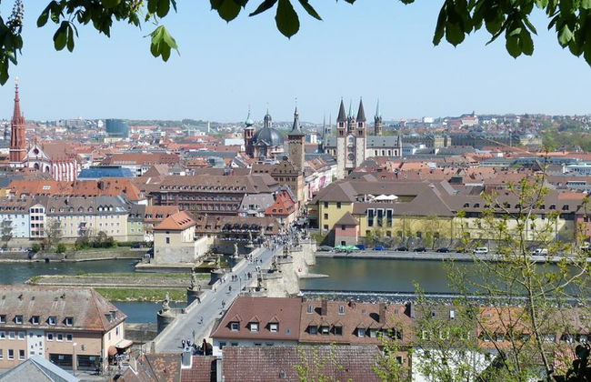 Recorrido a pie privado por Würzburg - Foto 3